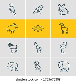 Vector illustration of 12 zoo icons line style. Editable set of ovis, raven, elephant and other icon elements.
