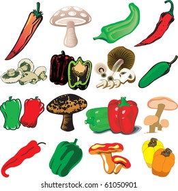 Vector Illustration of 16 different Mushrooms and Peppers