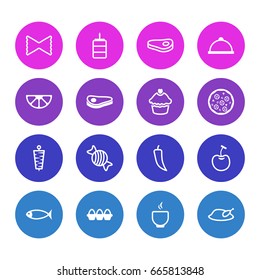 Vector Illustration Of 16 Eating Icons. Editable Pack Of Seafood, Platter, Beefsteak And Other Elements.