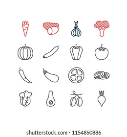 Vector illustration of 16 food icons line style. Editable set of tomato, radish, carrot and other icon elements.