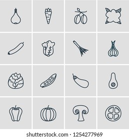Vector illustration of 16 food icons line style. Editable set of cabbage, allium, pea and other icon elements.