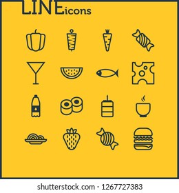 Vector illustration of 16 food icons line style. Editable set of cocktail, caramel, hamburger and other icon elements.