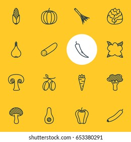 Vector Illustration Of 16 Food Icons. Editable Pack Of Zucchini, Cucumber, Gourd And Other Elements.