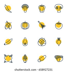 Vector Illustration Of 16 Food Icons. Editable Pack Of Cole, Cucumber, Tuber And Other Elements.