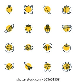 Vector Illustration Of 16 Food Icons. Editable Pack Of Fungi, Beet, Legume And Other Elements.