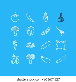 Vector Illustration Of 16 Food Icons. Editable Pack Of Paprika, Mushroom, Cauliflower And Other Elements.