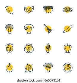 Vector Illustration Of 16 Food Icons. Editable Pack Of Green Onion, Zucchini, Mediterranean And Other Elements.