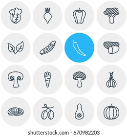 Vector Illustration Of 16 Food Icons. Editable Pack Of Tree, Beet, Sativum And Other Elements.