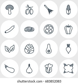 Vector Illustration Of 16 Food Icons. Editable Pack Of Tomato Slice, Chinese Cabbage, Zucchini And Other Elements.