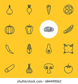 Vector Illustration Of 16 Food Icons. Editable Pack Of Gourd, Cucumber, Beet And Other Elements.