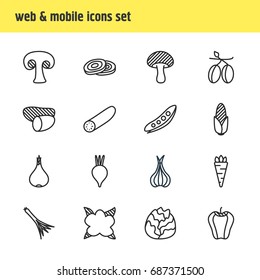 Vector Illustration Of 16 Food Icons. Editable Pack Of Mushroom, Cauliflower, Circles And Other Elements.