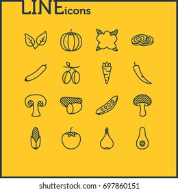 Vector Illustration Of 16 Food Icons. Editable Pack Of Papaya, Mushroom, Fungi And Other Elements.