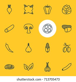 Vector Illustration Of 16 Food Icons. Editable Pack Of Sativum, Cauliflower, Tomato Slice And Other Elements.
