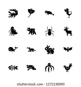 Vector Illustration Of 16 Icons. Editable Pack Crocodile, Octopus, Frog, Clown fish, Bat, Hen, Butterfly, Whale, Spider