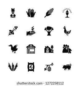 Vector Illustration Of 16 Icons. Editable Pack Farmer, Beehive, Fertilizer, Carrots, Chicken, Pig, Bee, Duck, Broccoli