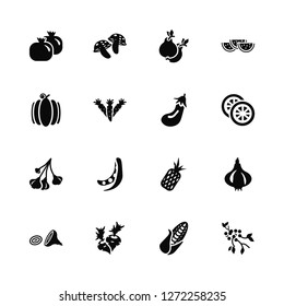 Vector Illustration Of 16 Icons. Editable Pack Grenade, Corn, Radish, Onion, Garlic, Berries, Pumpkin, Eggplant