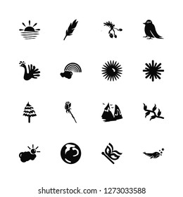 Vector Illustration Of 16 Icons. Editable Pack Sunset, Butterfly, World, Cloud, Leaf, Whale, Peacock, Pine, Sun