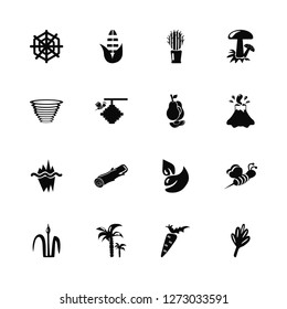 Vector Illustration Of 16 Icons. Editable Pack Spider web, Carrot, Palm tree, Reed, Bee, Leaf, Tornado, Iceberg, Avocado