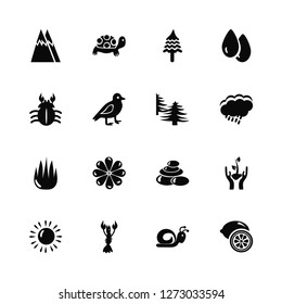 Vector Illustration Of 16 Icons. Editable Pack Mountains, Snail, Lobster, Sun, Grow plant, Lemon, Crab, Aloe vera, Forest