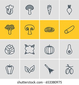 Vector Illustration Of 16  Icons. Editable Pack Of Cole, Sweet Pepper, Chinese Cabbage And Other Elements.