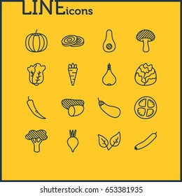 Vector Illustration Of 16  Icons. Editable Pack Of Chinese Cabbage, Cole, Tuber And Other Elements.