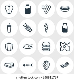 Vector Illustration Of 16 Meal Icons. Editable Pack Of Cruet, Grill, Ham And Other Elements.