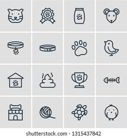 Vector illustration of 16 pet icons line style. Editable set of bird, turtle, mouse and other icon elements.
