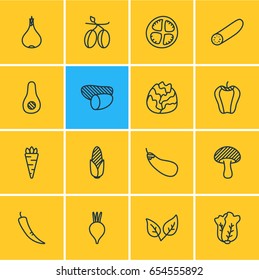 Vector Illustration Of 16 vegetable Icons. Editable Pack Of Aubergine, Mushroom, Tuber And Other Elements.