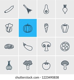 Vector illustration of 16 vegetables icons line style. Editable set of avocado, pumpkin, allium and other icon elements.