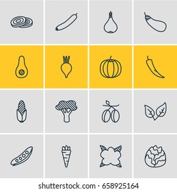 Vector Illustration Of 16 Vegetables Icons. Editable Pack Of Cauliflower, Papaya, Garlic And Other Elements.