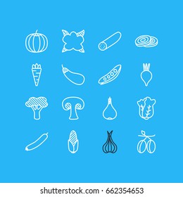 Vector Illustration Of 16 Vegetables Icons. Editable Pack Of Mediterranean, Aubergine, Root Vegetable And Other Elements.
