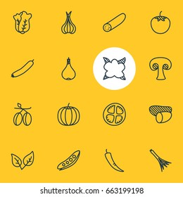 Vector Illustration Of 16 Vegetables Icons. Editable Pack Of Peppermint, Green Onion, Cucumber And Other Elements.