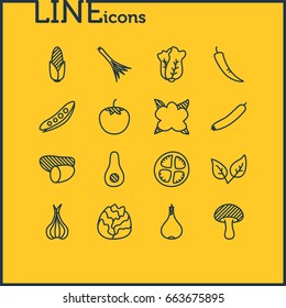Vector Illustration Of 16 Vegetables Icons. Editable Pack Of Legume, Tuber, Peppermint And Other Elements.