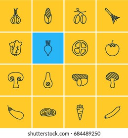 Vector Illustration Of 16 Vegetables Icons. Editable Pack Of Papaya, Tuber, Zucchini And Other Elements.