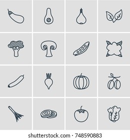 Vector Illustration Of 16 Vegetables Icons. Editable Pack Of Circles, Green Onion, Tree And Other Elements.