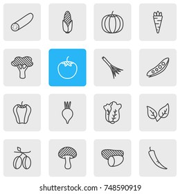 Vector Illustration Of 16 Vegetables Icons. Editable Pack Of Peppermint, Paprika, Tree And Other Elements.
