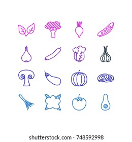 Vector Illustration Of 16 Vegetables Icons. Editable Pack Of Fungi, Peppermint, Sativum And Other Elements.