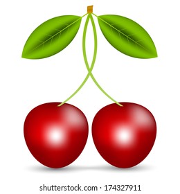 Vector illustration of 2 cherries