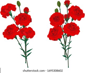 Vector illustration of 2 pairs of carnation bouquet