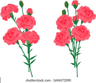 Vector illustration of 2 pairs of carnation bouquet #02