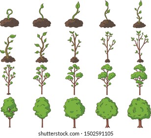 Vector illustration of 20 stages of a tree's growth