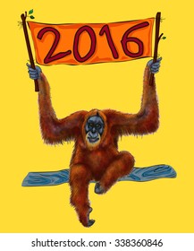 vector illustration 2016 monkey orangutan