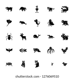 Vector Illustration Of 25 Icons. Editable Pack Rhinoceros, Kangaroo, Sloth, Owl, Beetle, Panda, Toucan, Frog, Bat, Ray, Ostrich, Anteater