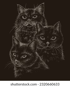 Vector illustration of 3 black cats in engraving style on a dark background