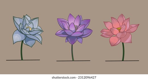 Vector illustration of 3 colors of lotus blue, violet, and pink