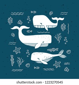 Vector illustration with 3 hand drawn whales and under sea elements 