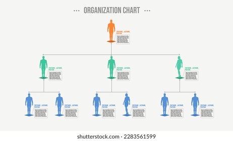 Vector illustration of 3 level Company organization chart with business people icons presentation 
