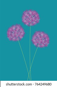 Vector illustration of 3 purple allium flowers on turquoise background