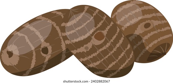 Ilustración vectorial de 3 taro