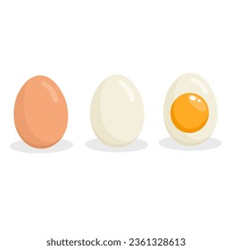 Vector illustration of 3 type boiled eggs egg isolated on white background